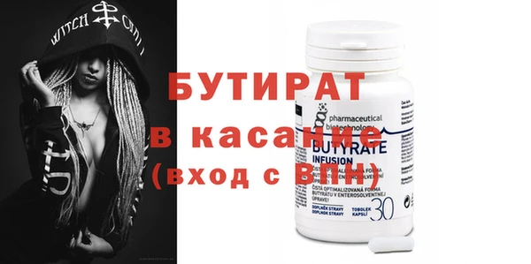 сатива Новозыбков