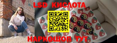 меф Кингисепп