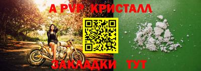 меф Кингисепп